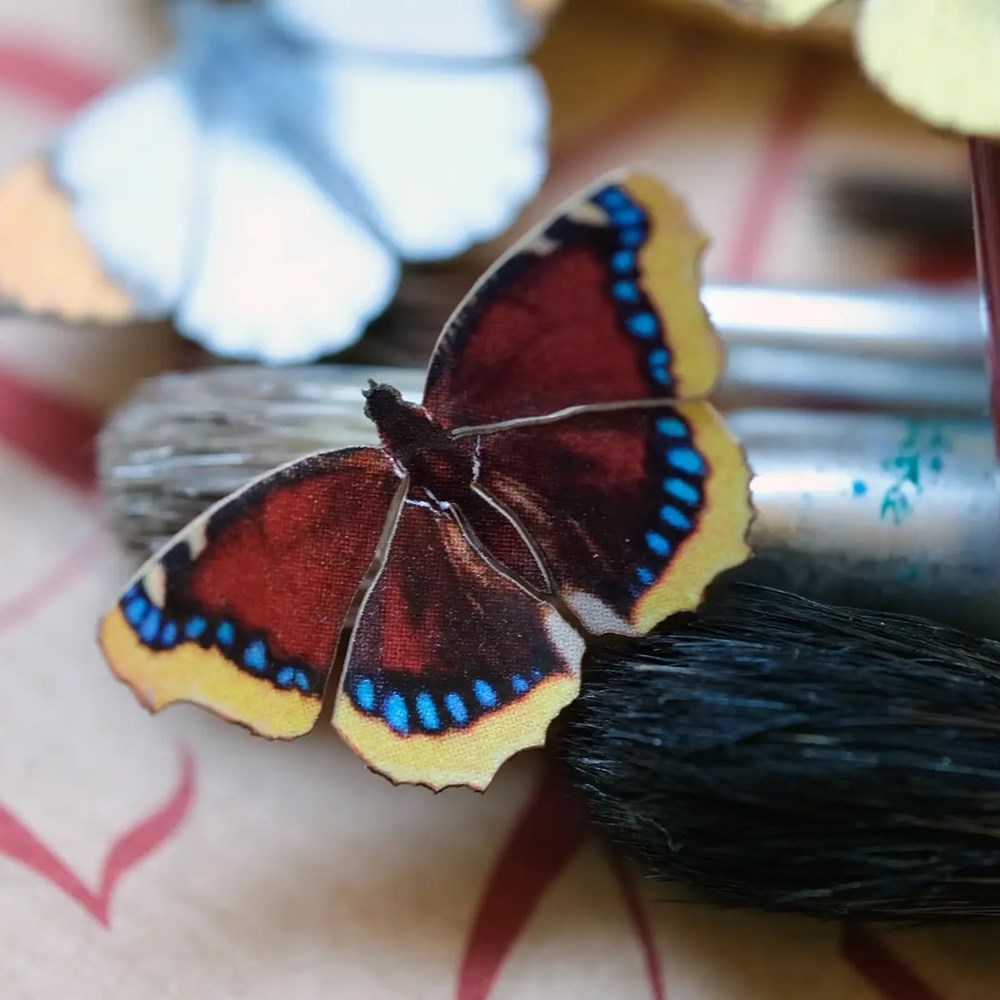 North American Butterfly Micro Collection