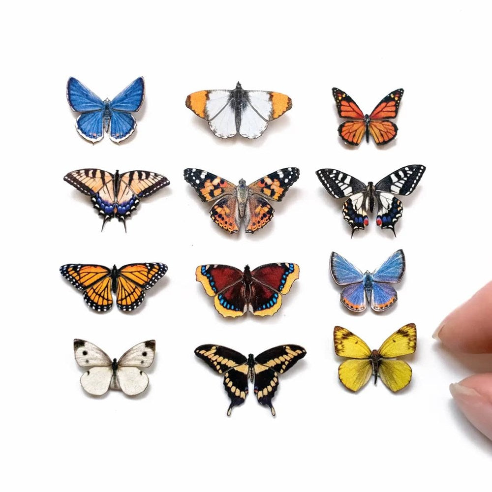 North American Butterfly Micro Collection